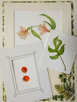 �{�^�j�J���A�[�g�i�A����j